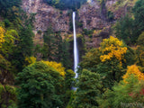 background waterfall with fall tree color backdrop