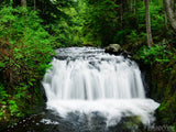 rolley falls mission bc