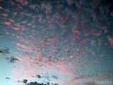 sky under lit with pink clouds