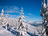 powder snow winter valley in background