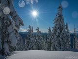 solstice sunburst on a snow covered winter background