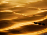 wisemen journey through the desert sands
