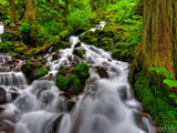water tumbling down a forest creek background