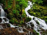two forest streams meet in lush forest