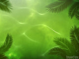 waving palm branches background