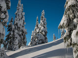 background of winter snow slope and trees