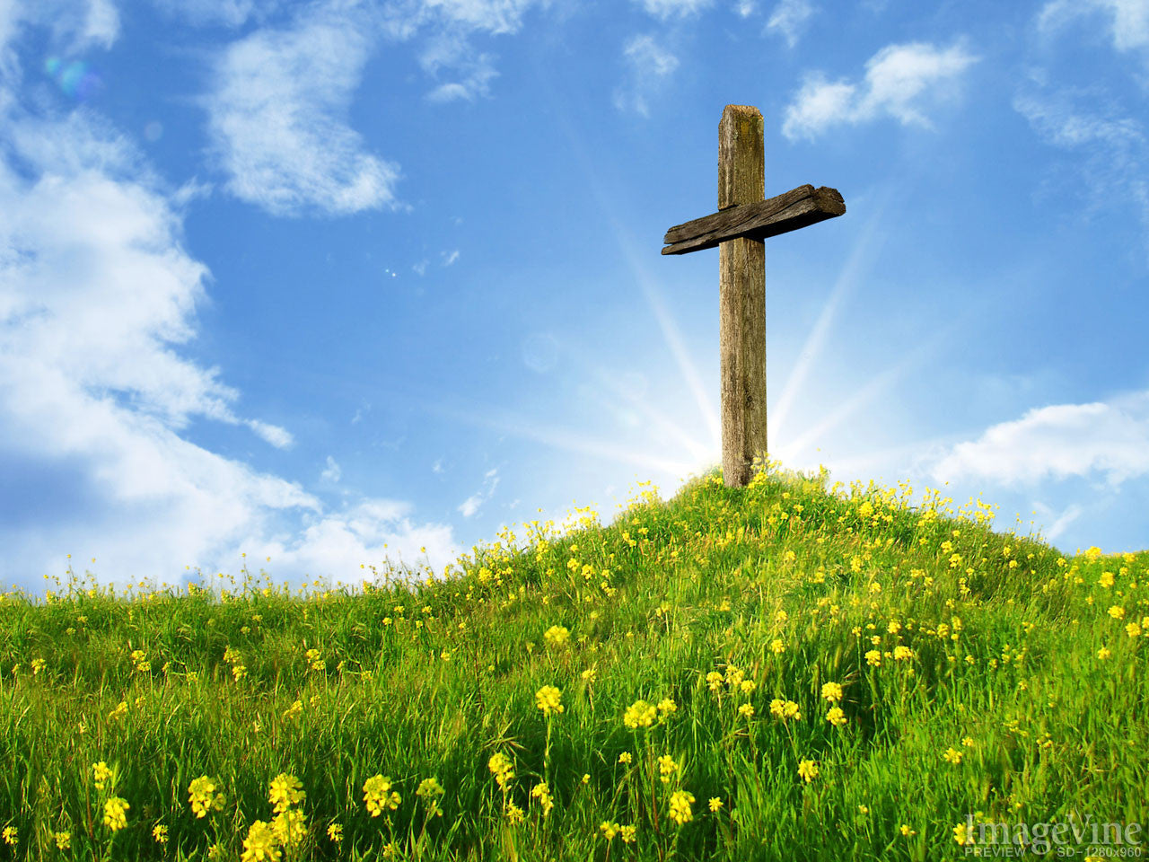 Spring Worship Backgrounds