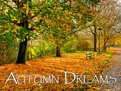 Autumn Dreams Backgrounds Collection