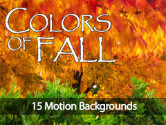 Colors of Fall Motion Backgrounds Collection