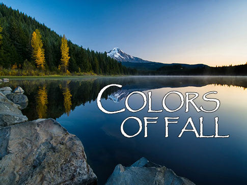 Colors of Fall Backgrounds Collection