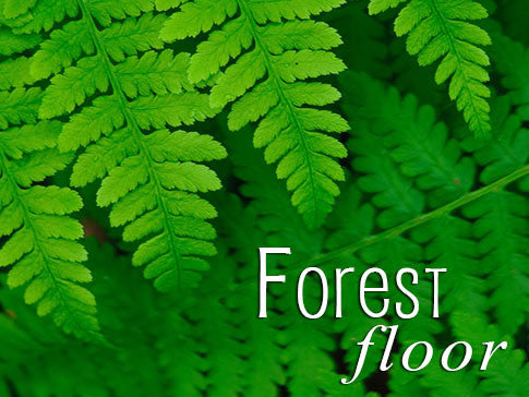 forest floor backgrounds collection