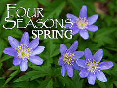 four seasons spring backgrounds collection