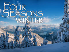 Four Seasons Winter Backgrounds Collection