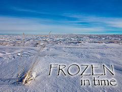 frozen in time backgrounds collection