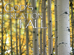 God's Creation Fall Backgrounds