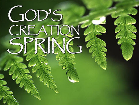 God's Creation Spring Backgrounds