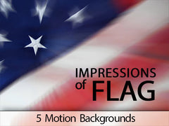 impressions of the flag background motions collection