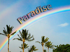 paradise backgrounds collection