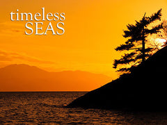 timeless seas ocean backgrounds collection