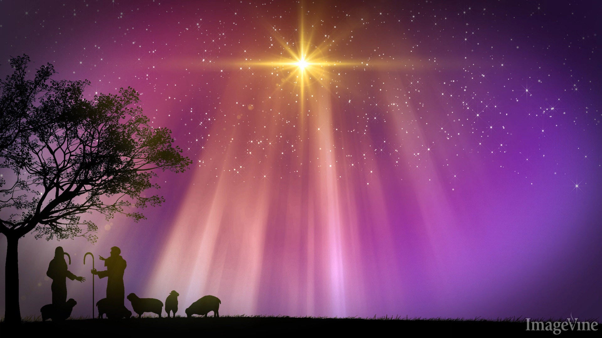 christian christmas powerpoint backgrounds,  shepherds, nativity, star appears